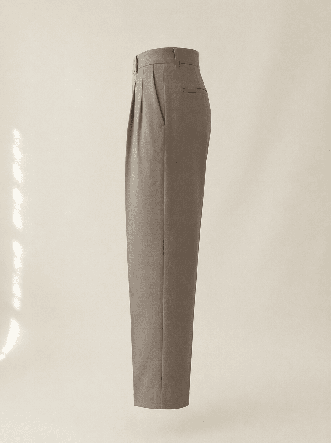 Pleated Trousers view 2